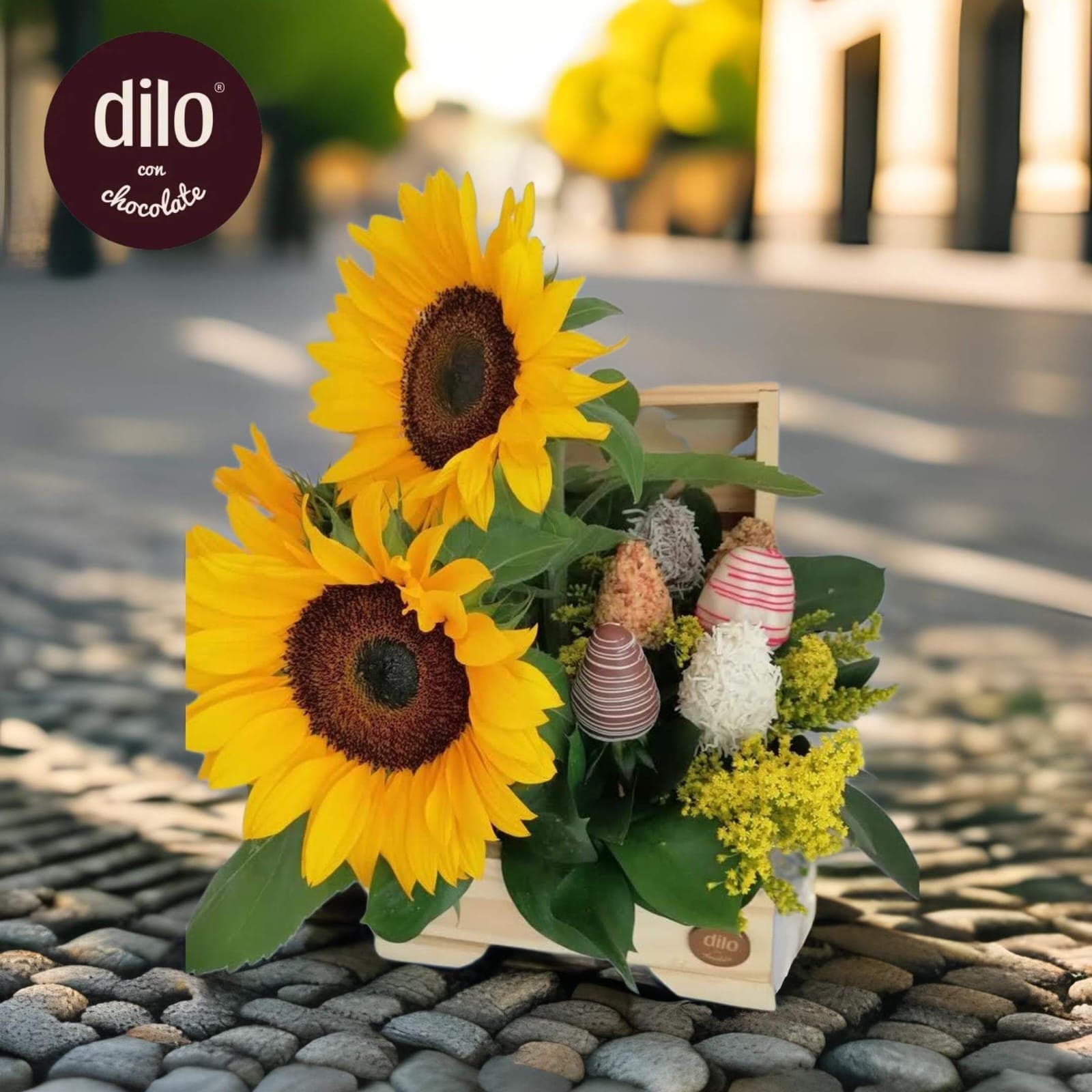 BAUL GIRASOL